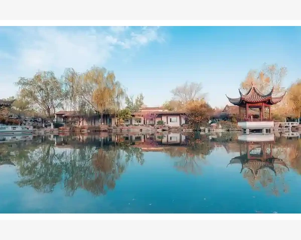 脾胃虚寒但是又吃得多为什么？